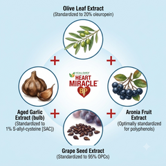 Heart Miracle® BP™
